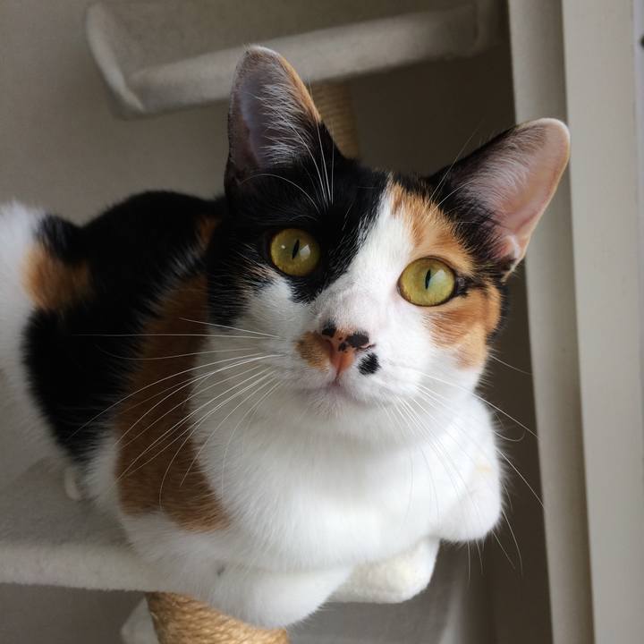 F6fea649 763a 48cb b33d b6aec133c191