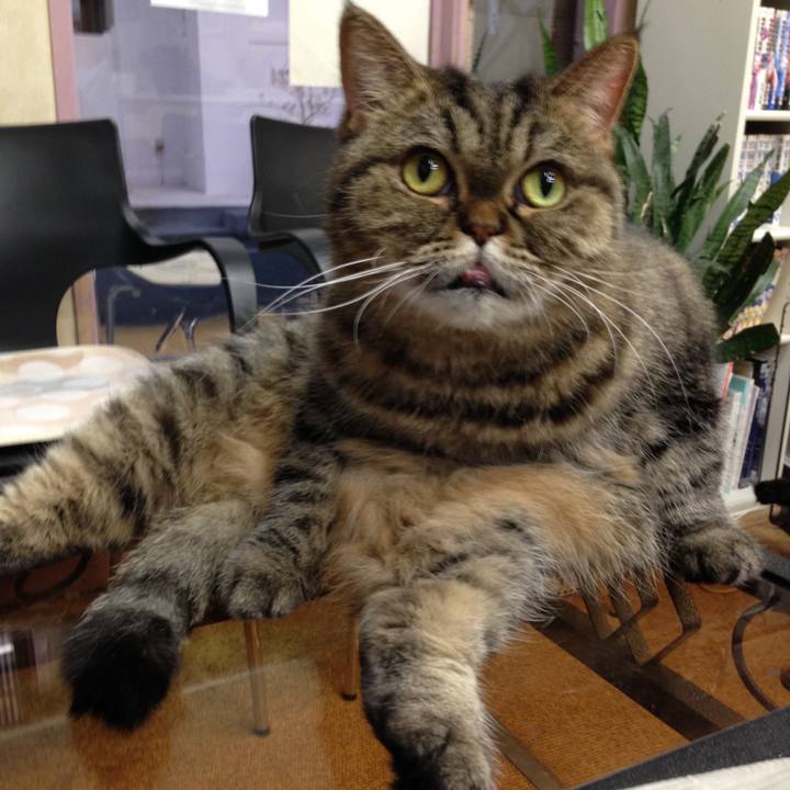 F6feca35 8bd2 47fa bc67 011fc024762b