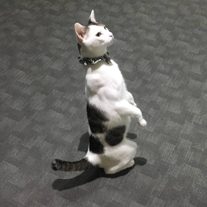 F7000391 53c2 4edf 9dd2 34b8517963cc