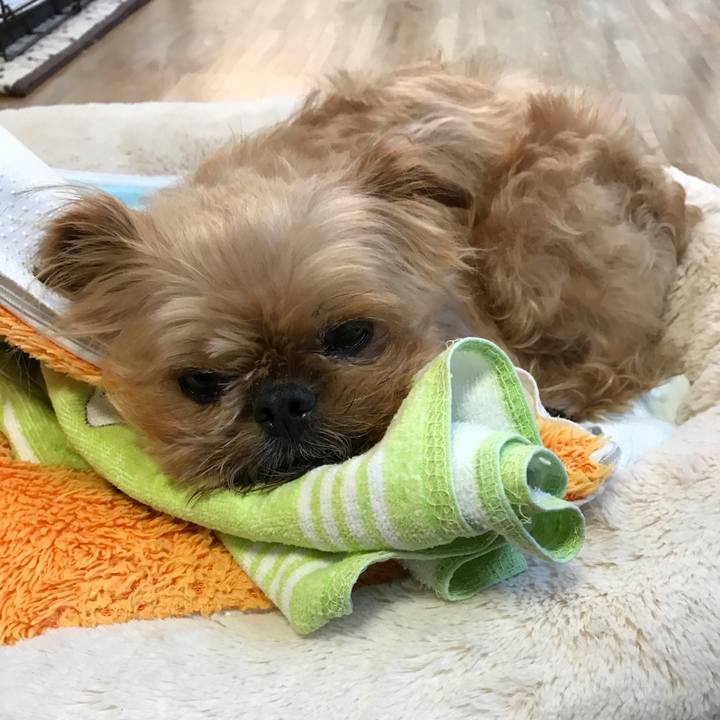 F7003454 4b47 4373 867e 7c2e97afc335