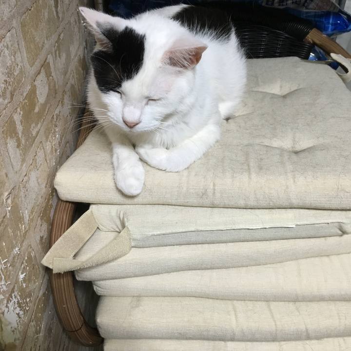 F7007028 1bde 46f2 86fa f49febba38b3