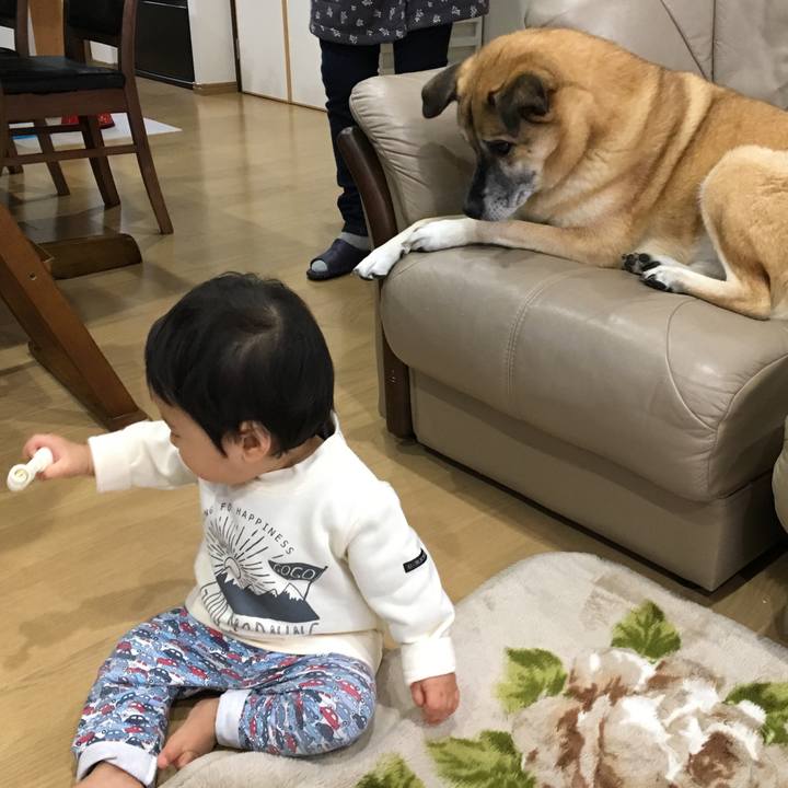 F700e08e f15d 4832 8994 6b318d2f872d