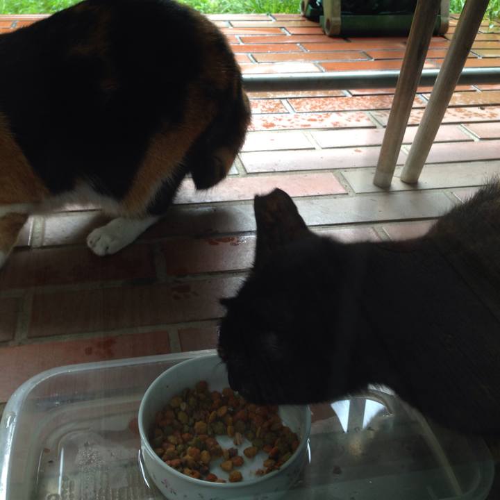 F701b547 4da8 46b4 bf43 cf5a6cd5a91d