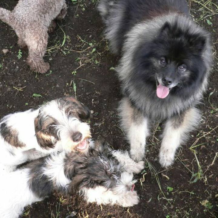 F701f338 5756 43a9 8c49 cc1a3796f931