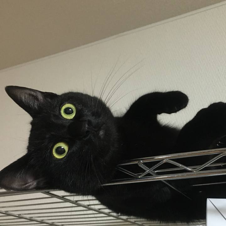 F7022aca ee99 4e34 afbf 77714343cc60