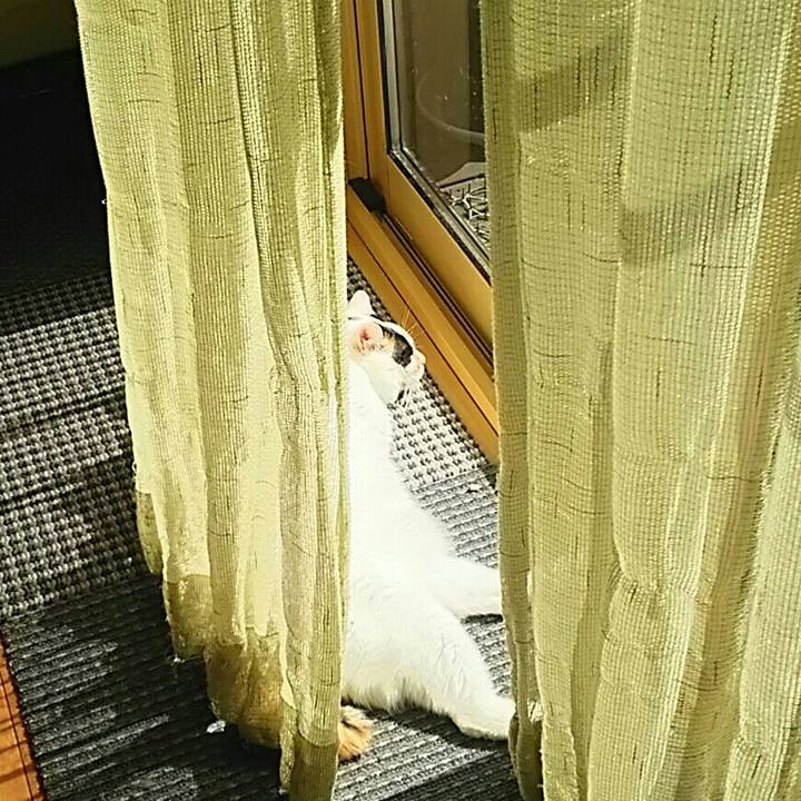 F70235ac 5f35 4f4c a3bf 78824c2ba6f5