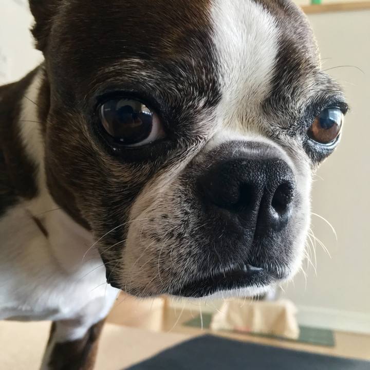 F702a027 6c8e 42ef a427 52706a5e85f8