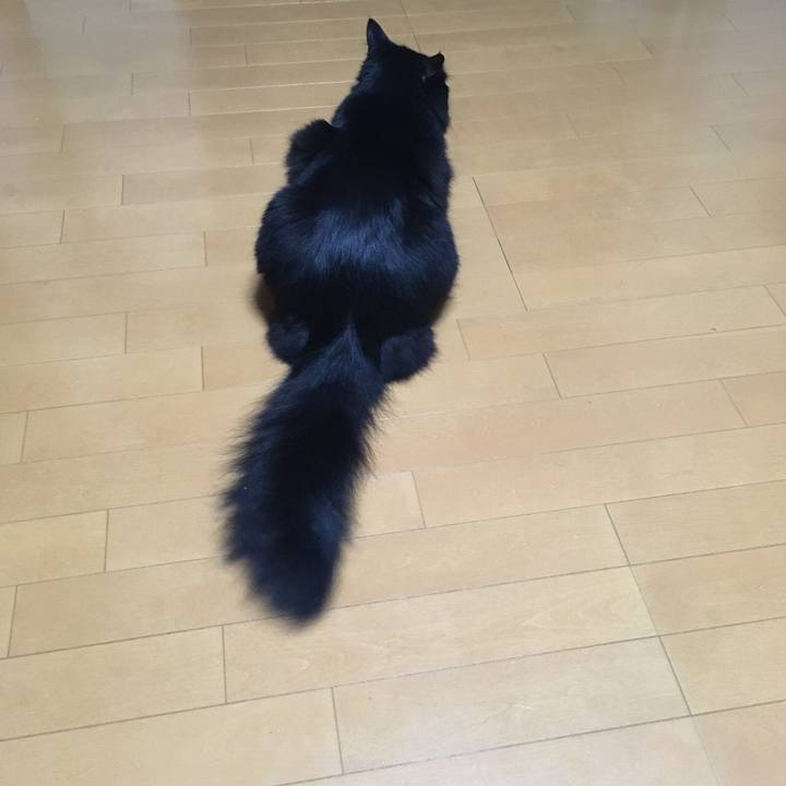 F702a1e0 616b 44f3 a1dd 8b555706356f