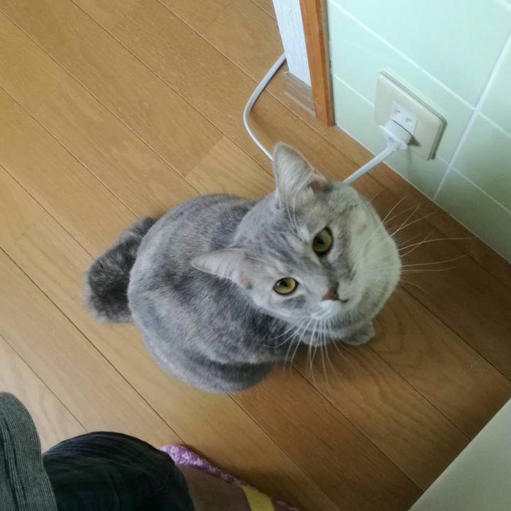 F702c0d1 5059 4aaf a828 d681a3c432be