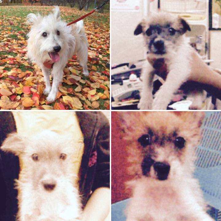 F70480fb f65d 4dc0 89ac ffb9b592e97c