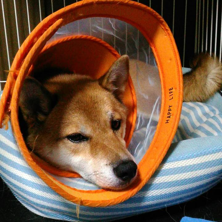 F7049b6e c5ec 47c9 80d2 5fb39efce10a