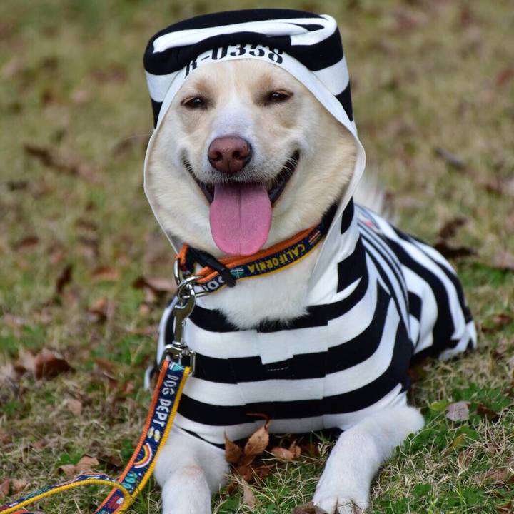 F70548b9 285d 44cd 8b6b 5c50bc5b2e8f