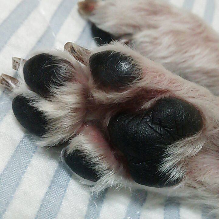 F7060d61 5fbc 4fb1 84f8 a9ff74b28f69