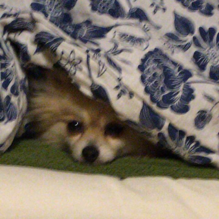 F7064391 2c3d 4921 aaf8 f497903db0c7