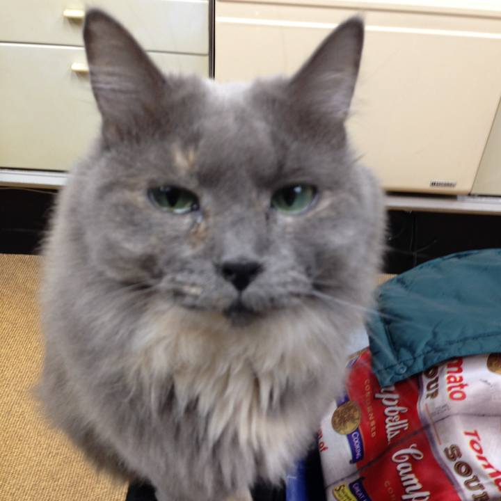 F706740d 9cd5 4597 8946 1b7b01495b54