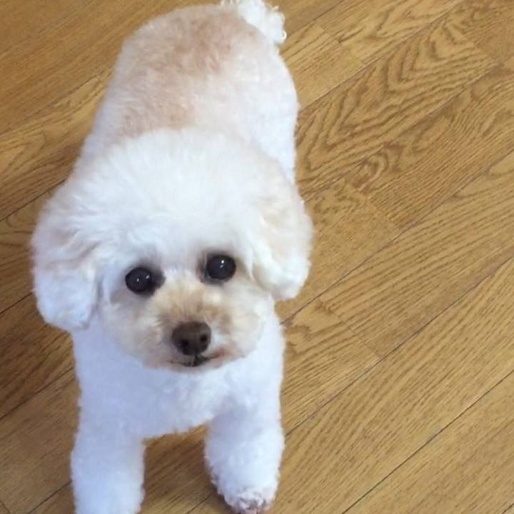 F706beaf 11ce 465f 8aea c98ead1a67be