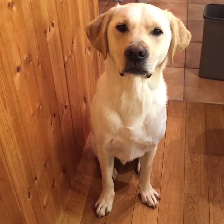 F707aef9 6402 42ae bbaf cc42371e8514