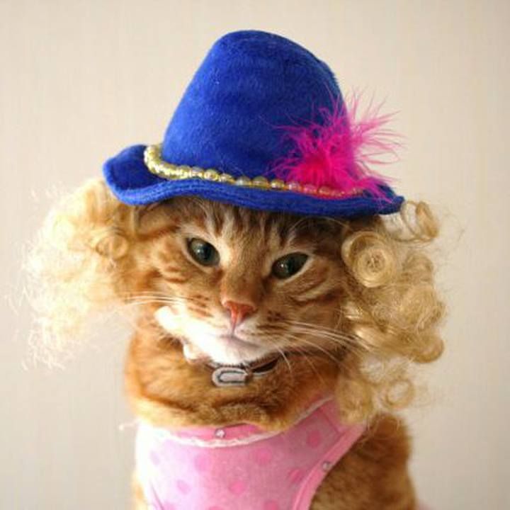 F70848b6 0691 4586 a245 d9879ba8bd5a