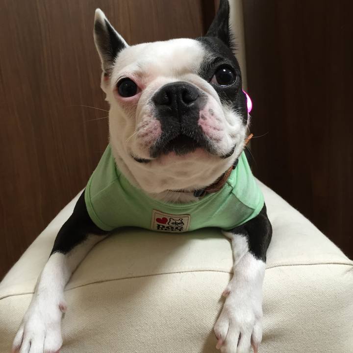 F70915f8 7e8d 45f1 a902 5499d677a19d