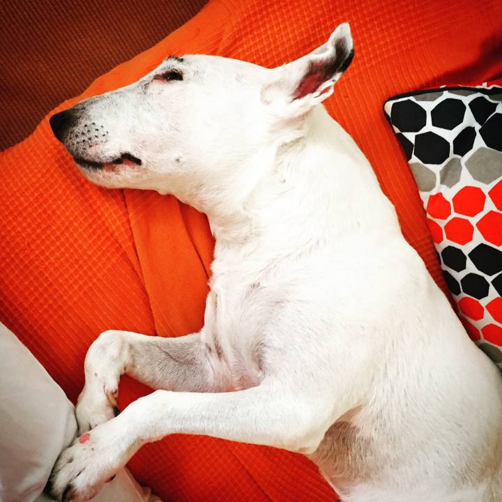 F709d70c a3d7 4813 8c53 088138112791