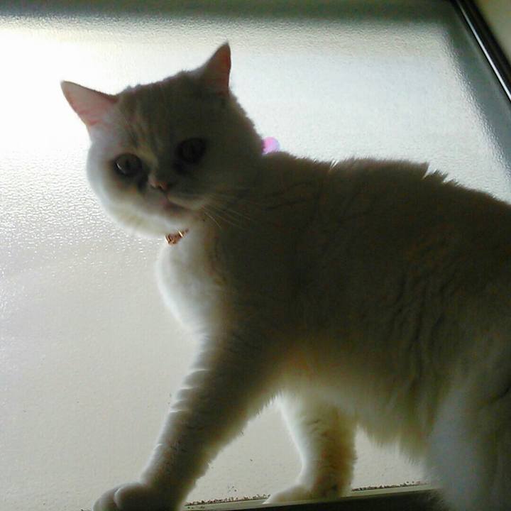 F709d89d 1dbd 48e3 91c6 bc8d9053c014