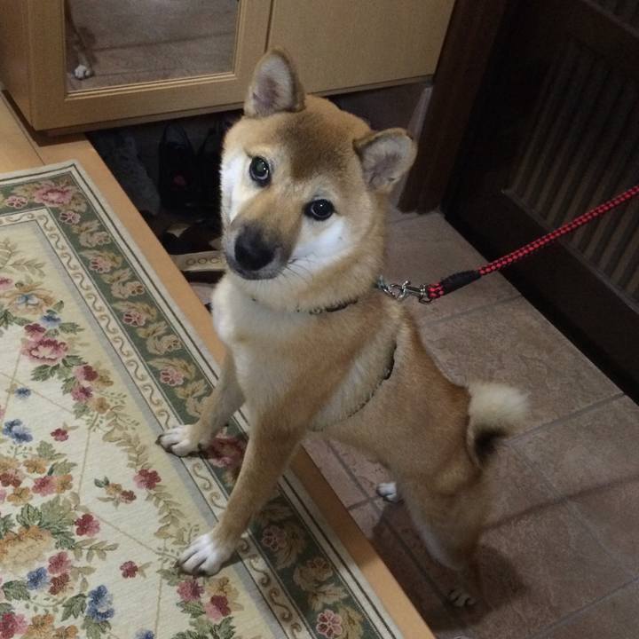 F70ac074 9292 49e6 a609 3069d4e3c6e8