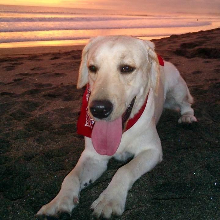 F70ac6dd 5f14 42e6 bb71 5fe041ad3201