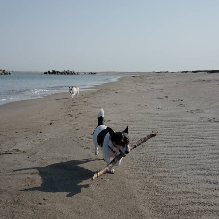 F70bd247 c4b1 4be1 959d 8bdeaa887340