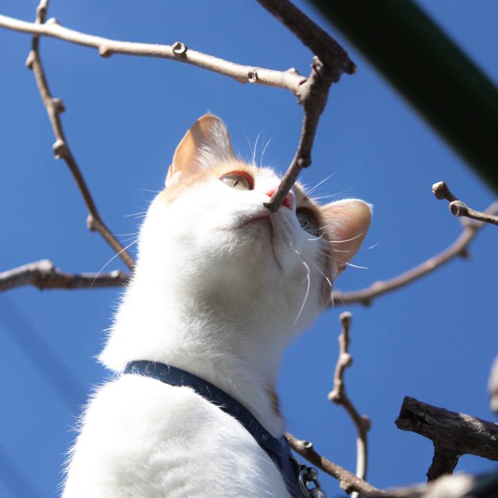 F70c9a18 2fba 4475 b6b9 4fc360c4dee7