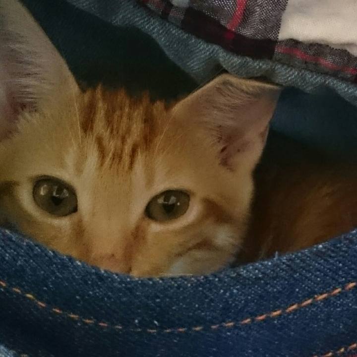 F70cba0d 5853 4259 84c8 7915def9dee6