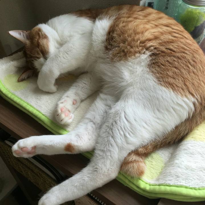 F70cd645 ec0e 4cfd a57b 1629ab68c9c5