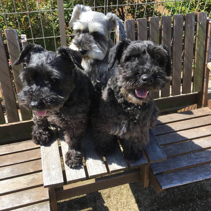 F70d19a9 a364 453d 8d4e 9f5ebaccc35a