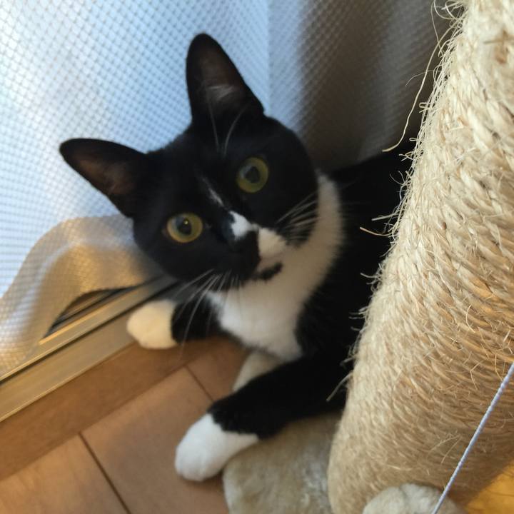 F70db771 ab31 4c82 9f47 c47897df87a2