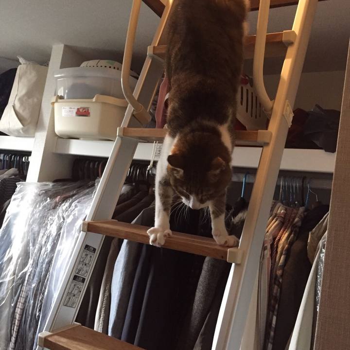 F70ddf9c 26d7 4eda 8124 53297baafc11