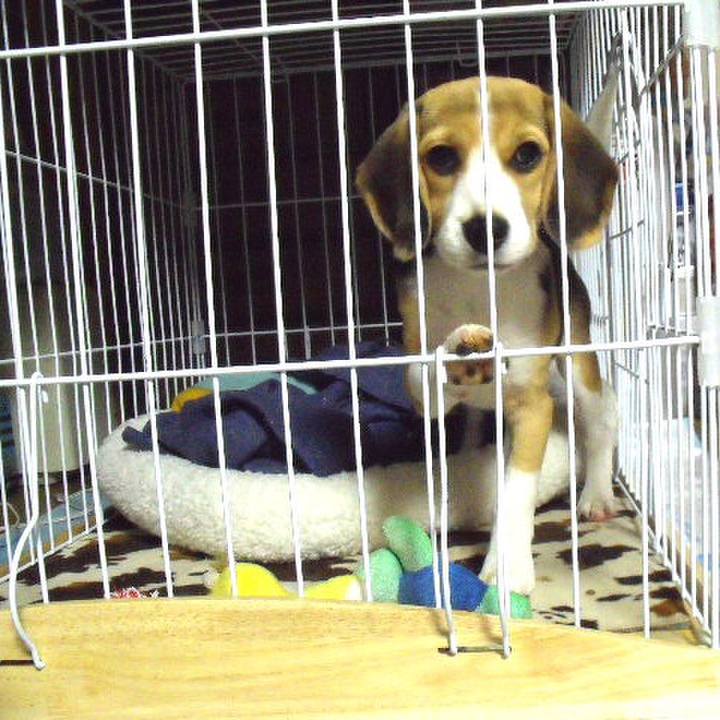 F70ded84 1e21 47ce b517 9e2c44bb0226