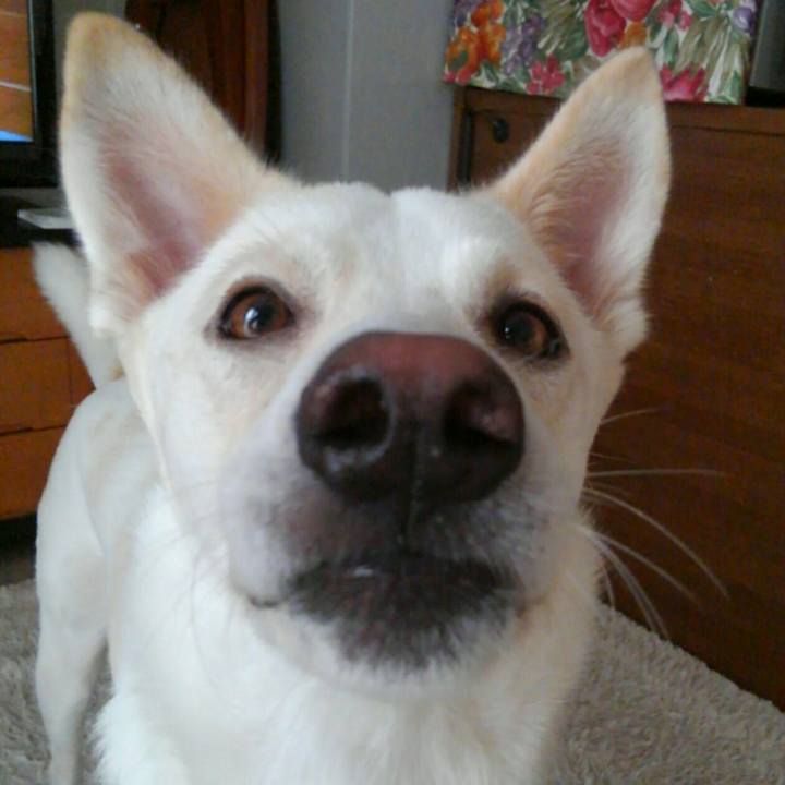 F70e98c2 ed4b 4c23 8f5b 107f222ed858