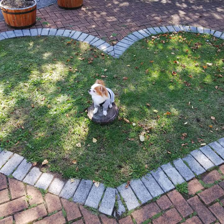 F70ef6c7 02e8 4efa a408 2852de0b12d6