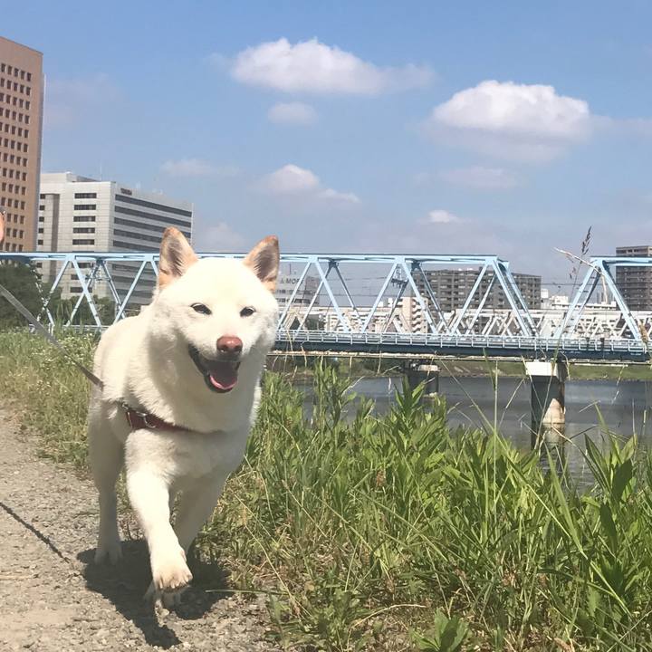 F70efe28 60fa 46fd 983b 674c96ca1d6b