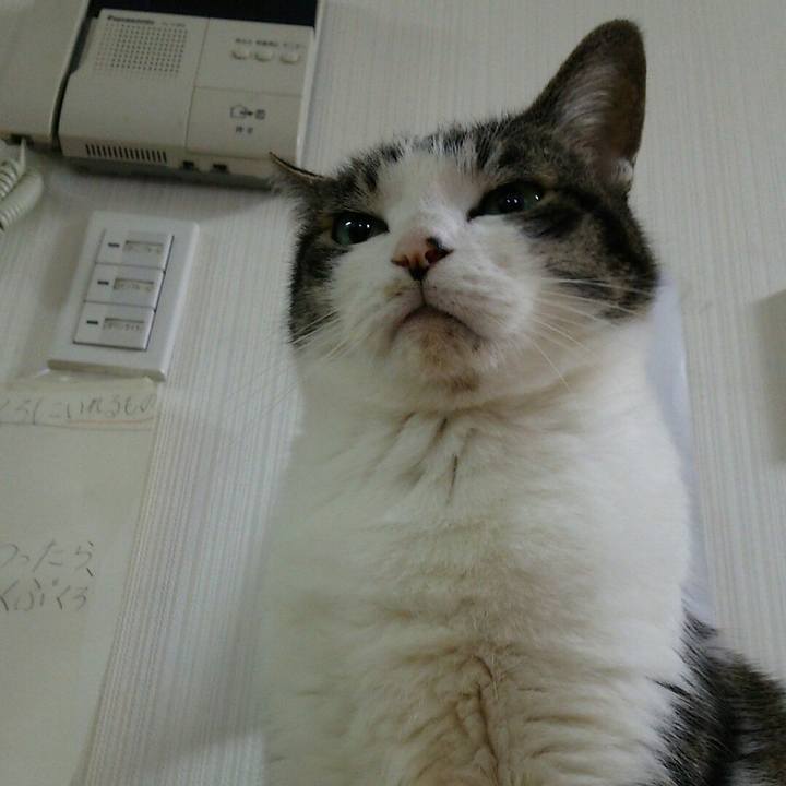 F70f1646 179d 4f47 81bb d9483f62c5d7