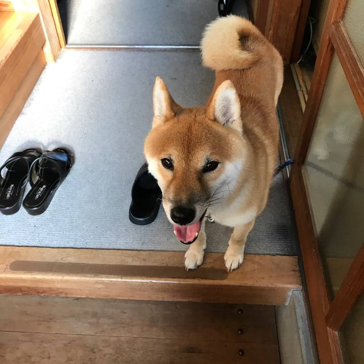 F70f4a5d e410 4f19 9414 2846135f6d70