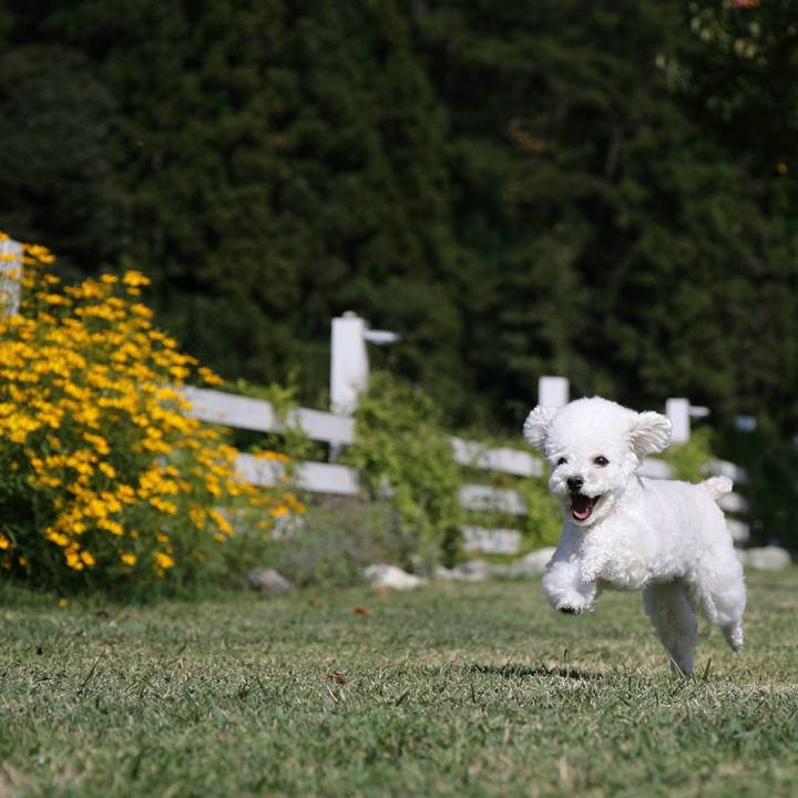 F7103ace 53d3 4d0f bd2b 5712a0945d73