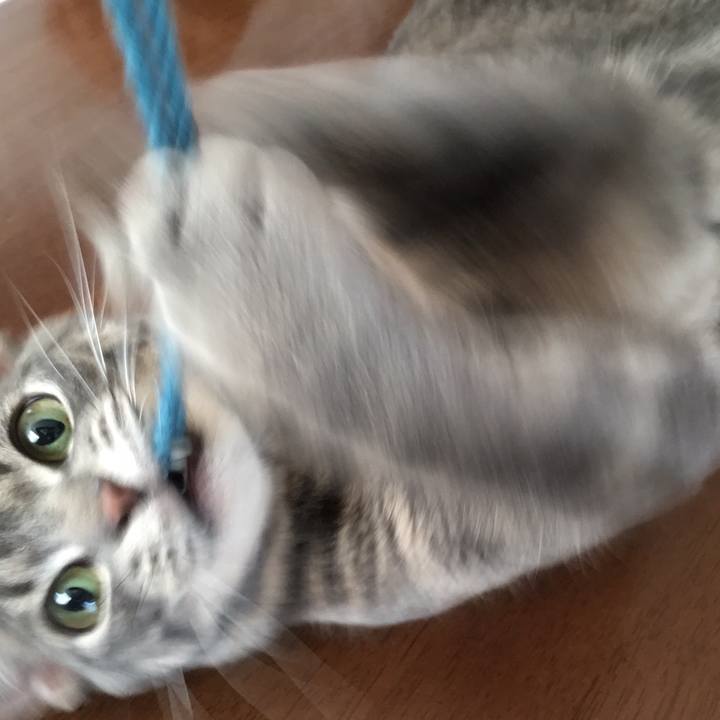 F710966c 67eb 4dd7 bb4d ad1d7cb10a81