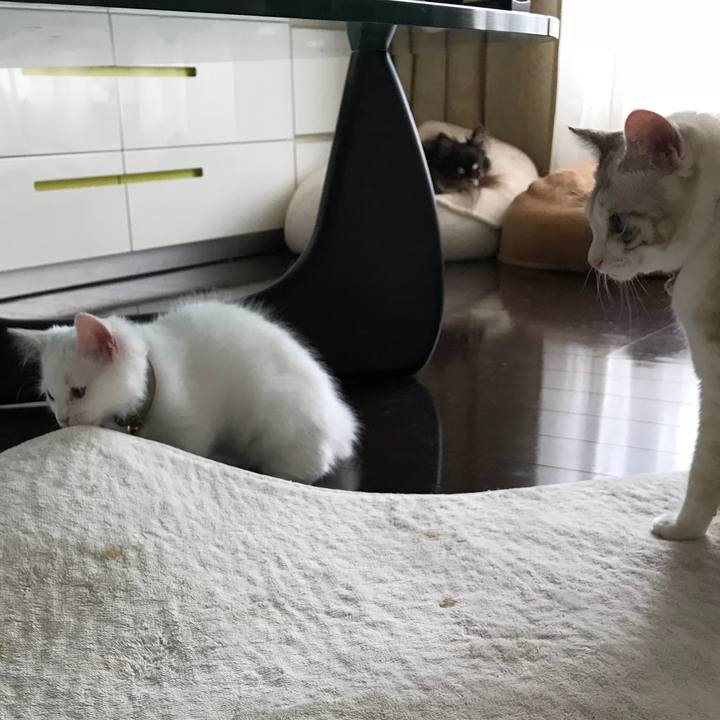 F711037c ca91 49b7 829f 93e6909c4d1d