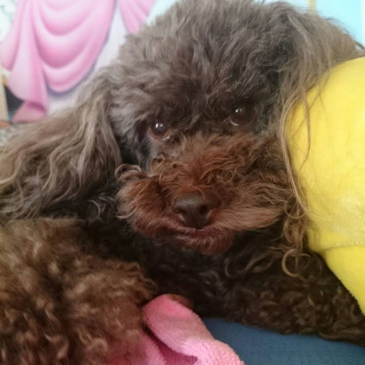 F7114ef7 7997 4ee2 a724 ce809e7b4faa