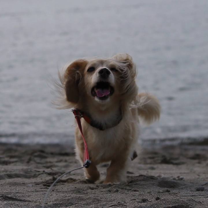 F7115de3 205e 4261 bcfa 0702e013e648