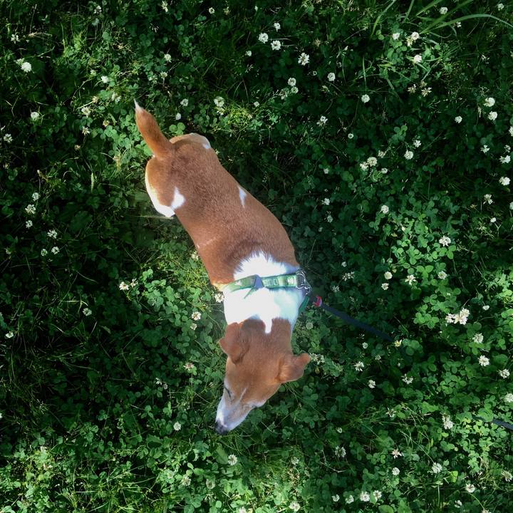 F711702d 1860 4ed2 a298 d10e29b3dda2