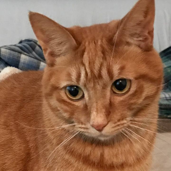 F711d961 d1cf 41c4 ab59 ff4ddadb8cce