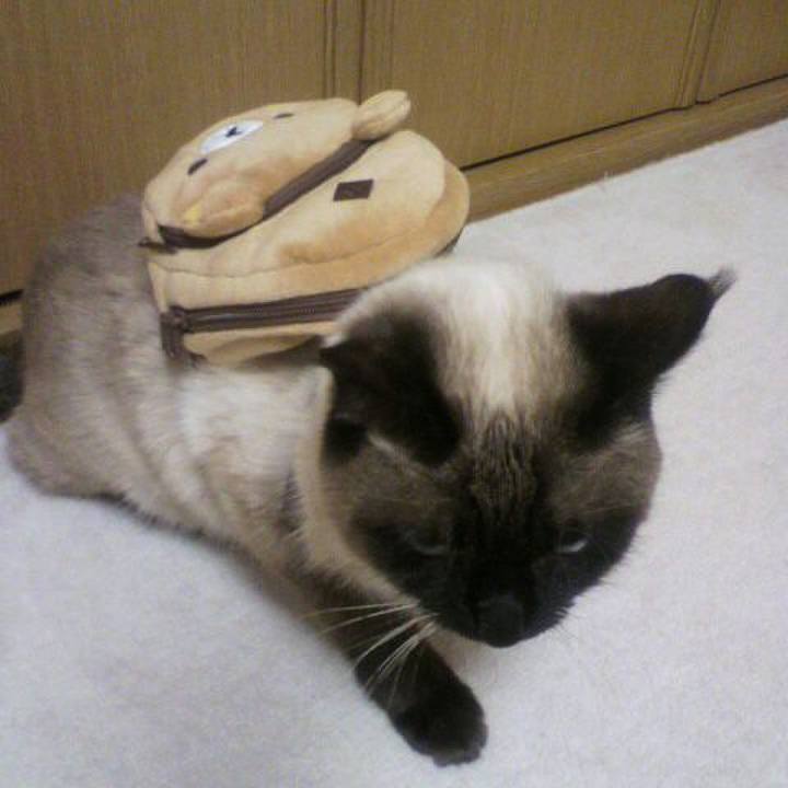 F7123afd 682f 49a1 bffb c26fa95ef817