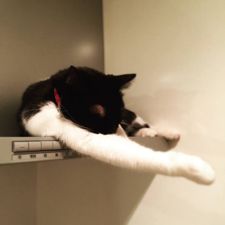 F7126119 6eef 4fdb 964e ac19c930b26a