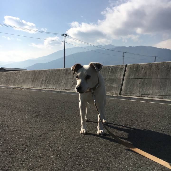 F713607a 11a4 4406 8a00 bdf514923936